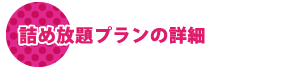 詰め放題プランの詳細