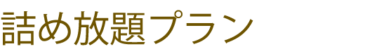 詰め放題プラン